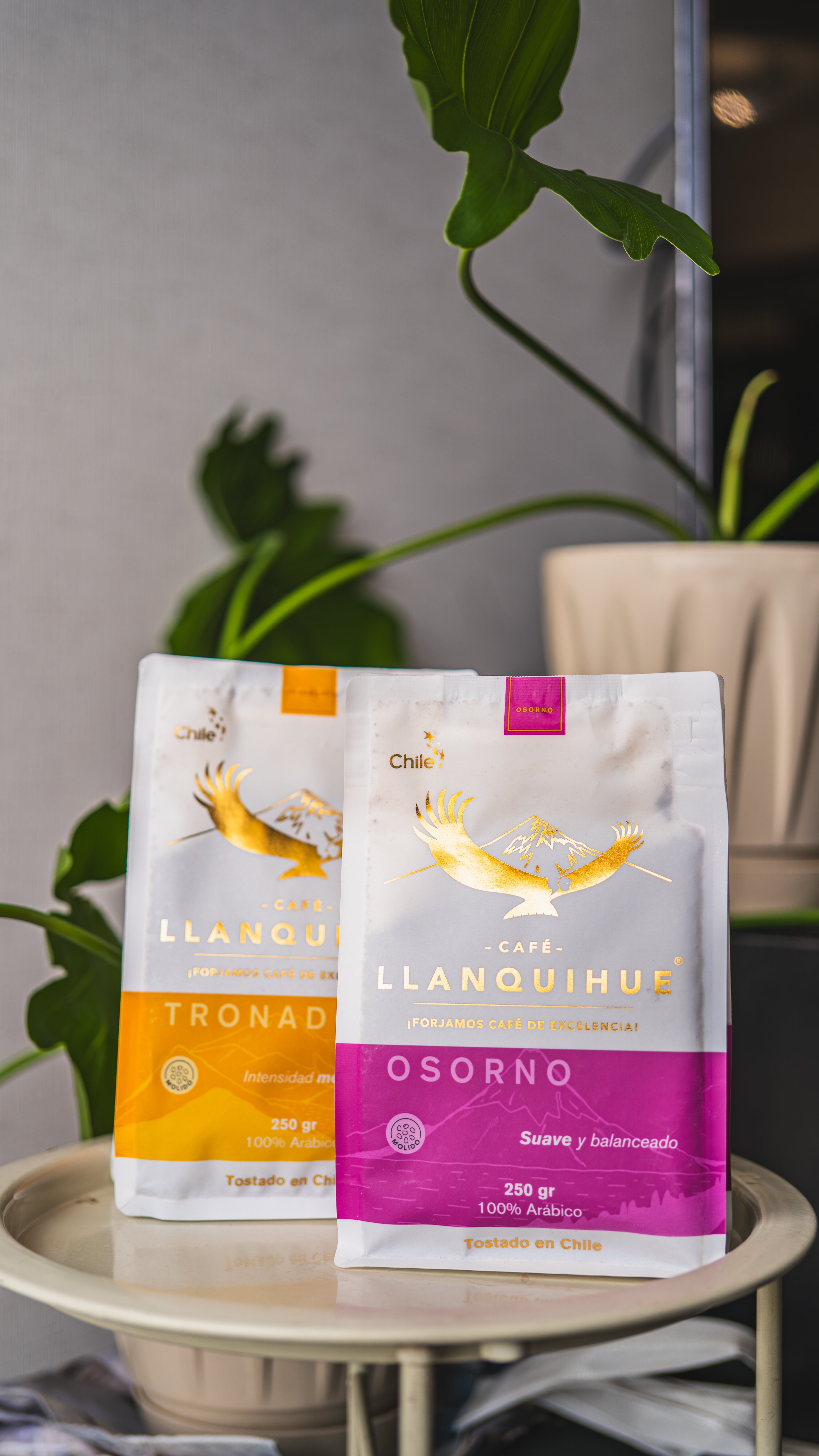 Café de Especialidad