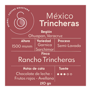 México Trincheras
